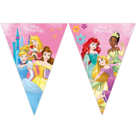 Prinsessen Disney vlaggenlijn papier 2,3m