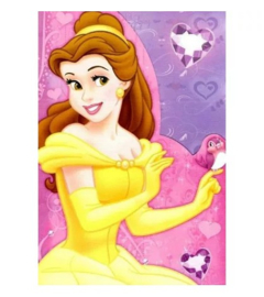 Disney Princess verjaardagskaart 20x14,5cm