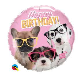 Verjaardag hond heliumballon 45cm