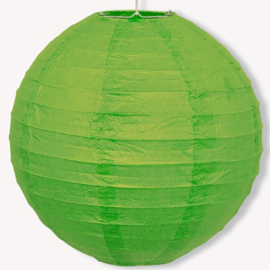 Lampion groen 25cm