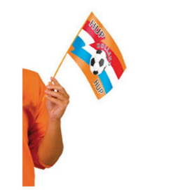 Zwaaivlaggetje oranje voetbal 26x18cm