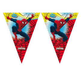 Spiderman slinger vlaggenlijn plastic 2,3m