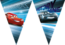 Cars vlaggenlijn papier 2,3m