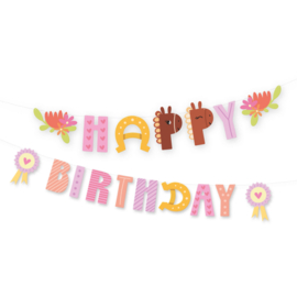 Paard pony letterslinger Happy Birthday 245x22,5cm