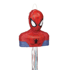 Spiderman 3D pinata 55x33cm