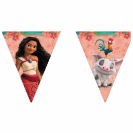 Vaiana vlaggenlijn papier 2,3m