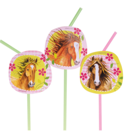 Paarden rietjes 8 stuks