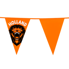 Oranje Holland leeuw vlaggenlijn plastic 6m