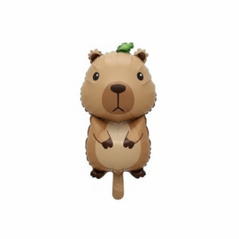 Capibara folie ballonnen set mini 6 stuks 27x38cm
