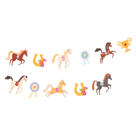 Paard pony slinger 270cm