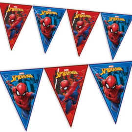 Spiderman vlaggenlijn 2,3m plastic
