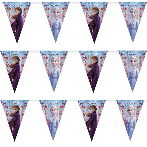 fusie Rusland parachute Frozen 2 slinger vlaggetjes 2,3m | Frozen feestartikelen | Feestwinkel  Altijd Feest