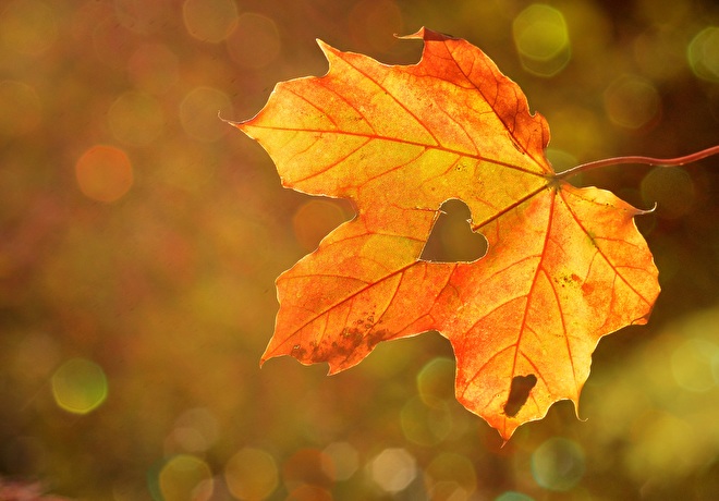 Herfst actie topbedankjes