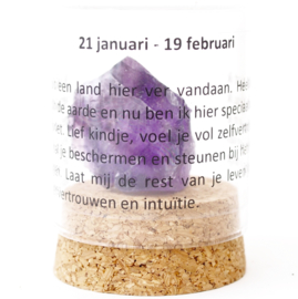 Kids: 21 januari - 19 februari