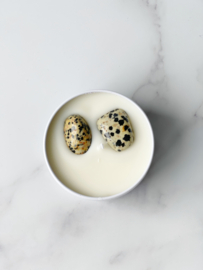 Scented Candle Inspire * Dalmatian Jasper