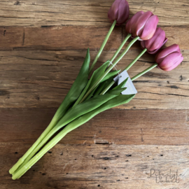 Bosje tulpen Xtra long paars