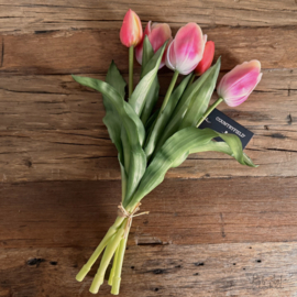 Bosje tulpen roze