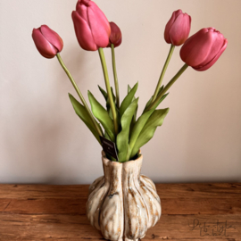 Bosje tulpen Xtra long paars