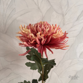 Zijde crysant oud roze