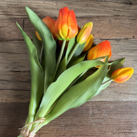 Bosje tulpen