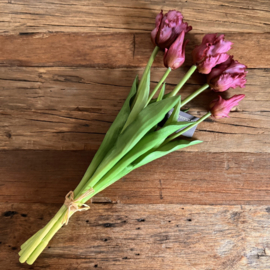 Bosje tulpen paars