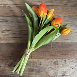 Bosje tulpen