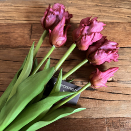 Bosje tulpen paars