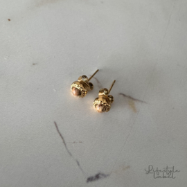 Oorbellen gold/bruin