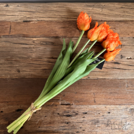 Bosje tulpen oranje