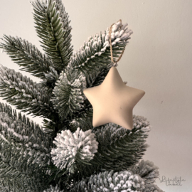 Kerst ster beige