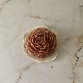 Geurbloem amber