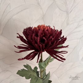 Zijde crysant donker rood