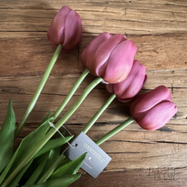 Bosje tulpen Xtra long paars