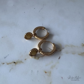 Oorbel ringen goud/geel