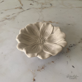 Magnolia bord lila grey klein