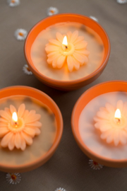 Flower bowl Vanilla