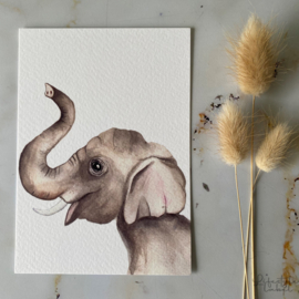 Kaart Olifant