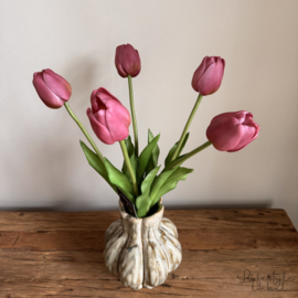 Bosje tulpen Xtra long paars