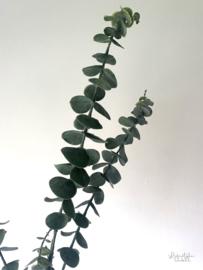 Kunsttak eucalyptus groen