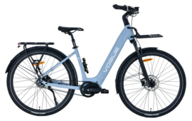 Vogue Pantheon D46 Matt grey/blue