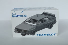 Teamslot bouwkit Audi Quattro A2 ongebouwd nr. KIT004 in OVP.