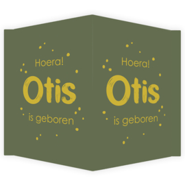 Geboortebord - Geboortebord groen met okergeel type Otis