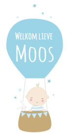 Geboortesticker baby met luchtballon en sterretjes full colour type Moos
