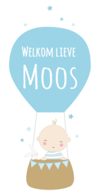 Geboortesticker met luchtballon en sterretjes full colour type Moos