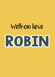 Geboortebord jongen - Geboortebord raam okergeel en de tekst 'welkom lieve' type Robin.