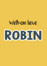Geboortebord meisje- Geboortebord raam okergeel en de tekst 'welkom lieve' type Robin.
