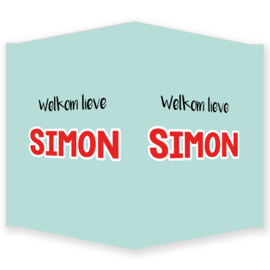 Geboortebord jongen - Geboortebord raam mint met rode letters type Simon