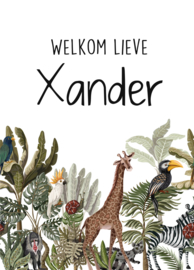 Geboortebord - Geboortebord raam jungle en dieren type Xander