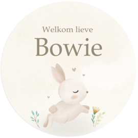 Geboortesticker full colour lief konijntje type Bowie