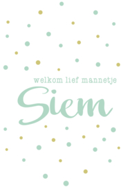 Geboortesticker 'welkom lief mannetje' type Siem